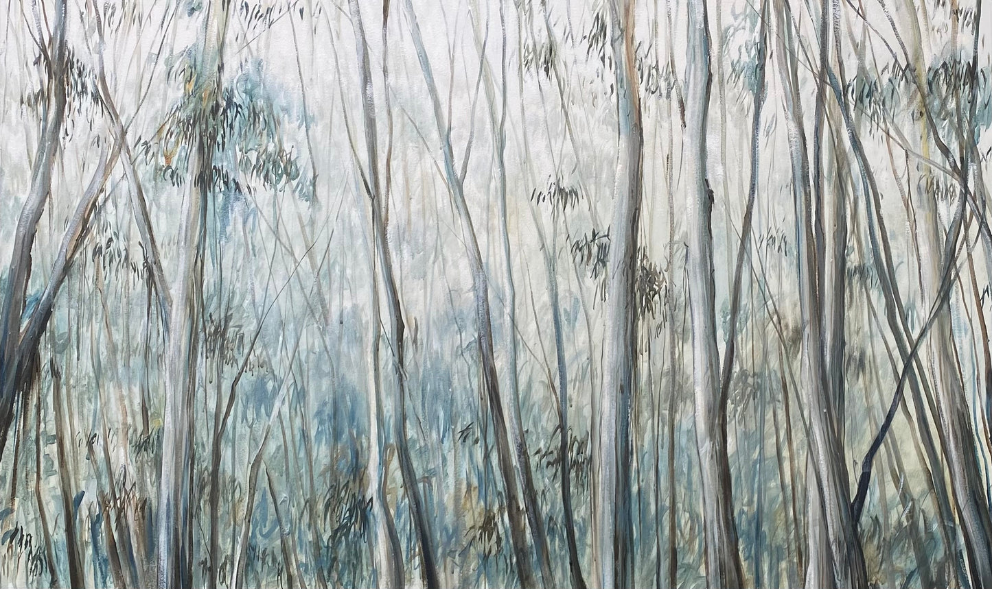 Blue Gum Forest