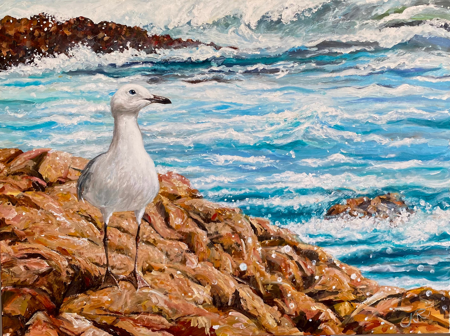 Seal Rocks Seagull