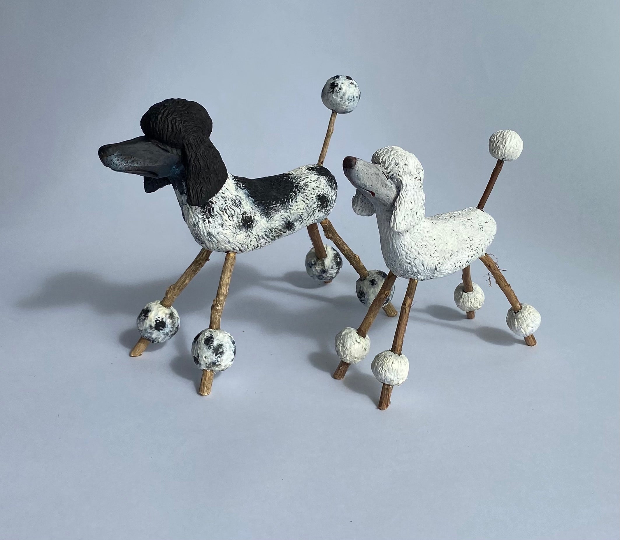 BARK Dogs – Studio888